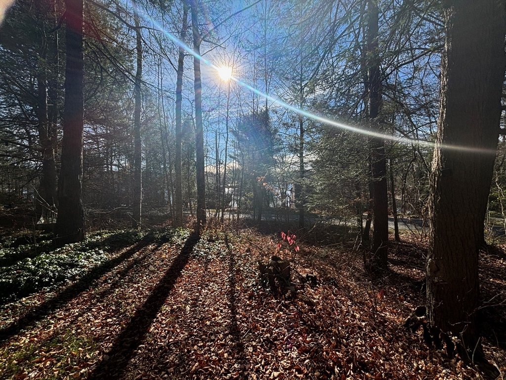 Beautiful single family home